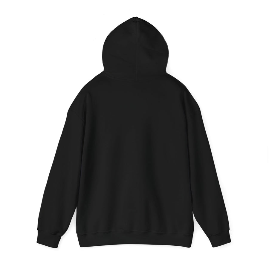 Unisex Heavy Blend™ Hooded Sweatshirt-"I Can't Hear the Haters"