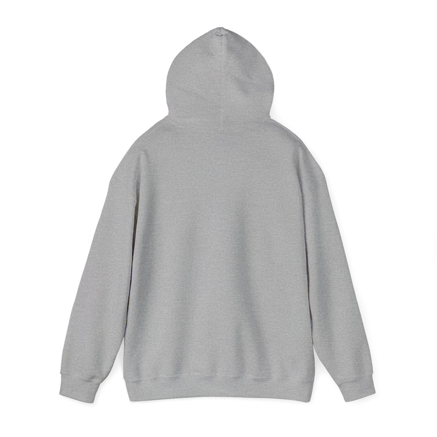 Unisex Heavy Blend™ Hooded Sweatshirt-King