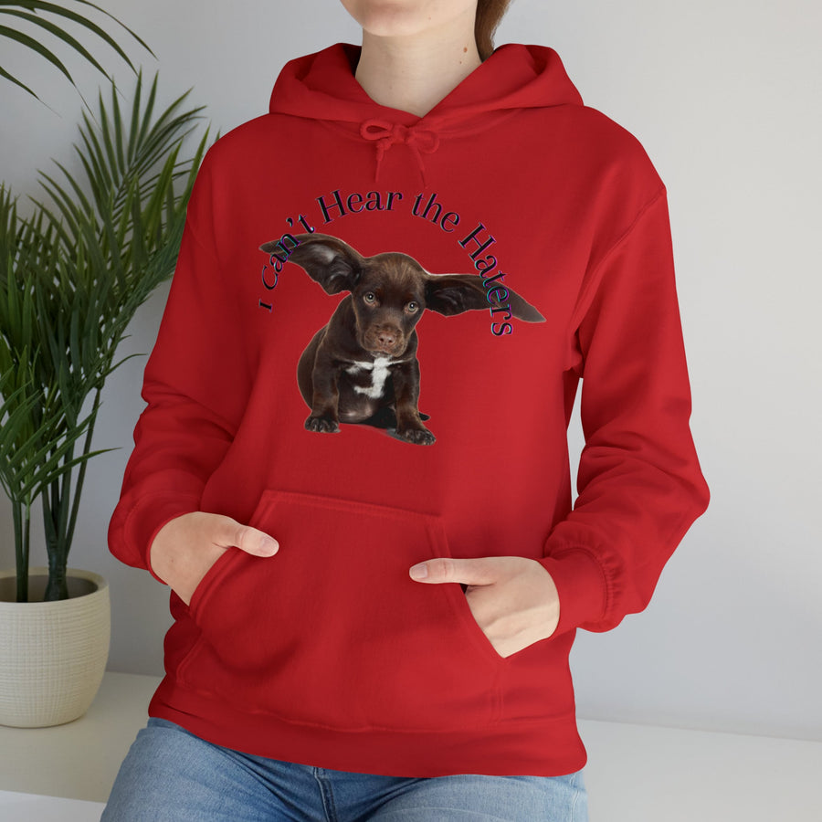 Unisex Heavy Blend™ Hooded Sweatshirt-&quot;I Can&#39;t Hear the Haters&quot;