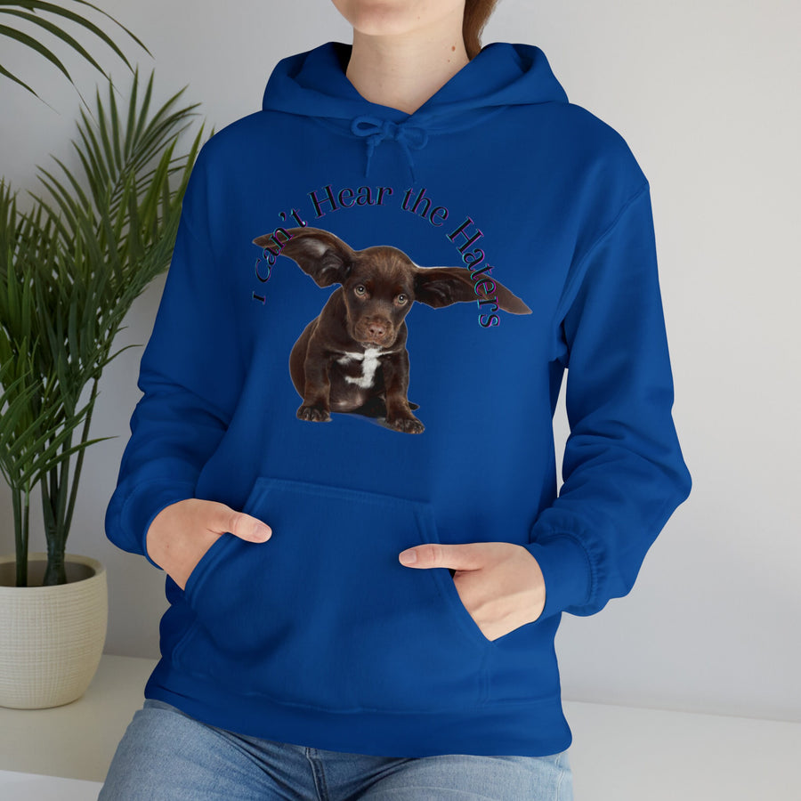 Unisex Heavy Blend™ Hooded Sweatshirt-&quot;I Can&#39;t Hear the Haters&quot;