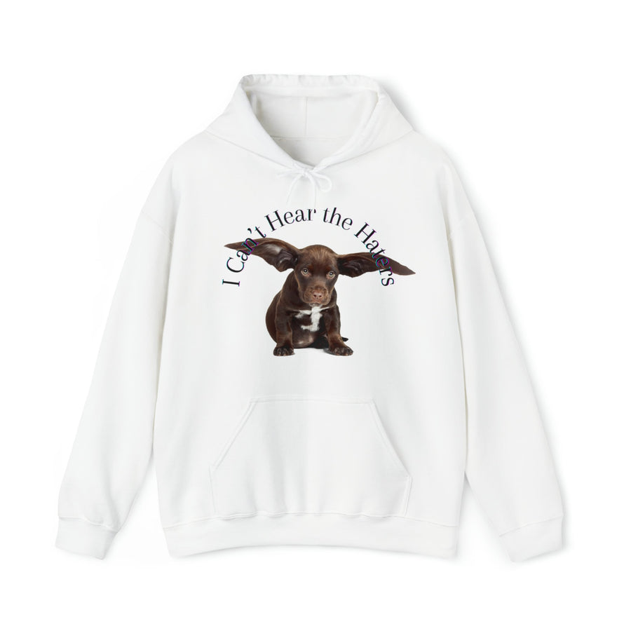 Unisex Heavy Blend™ Hooded Sweatshirt-&quot;I Can&#39;t Hear the Haters&quot;