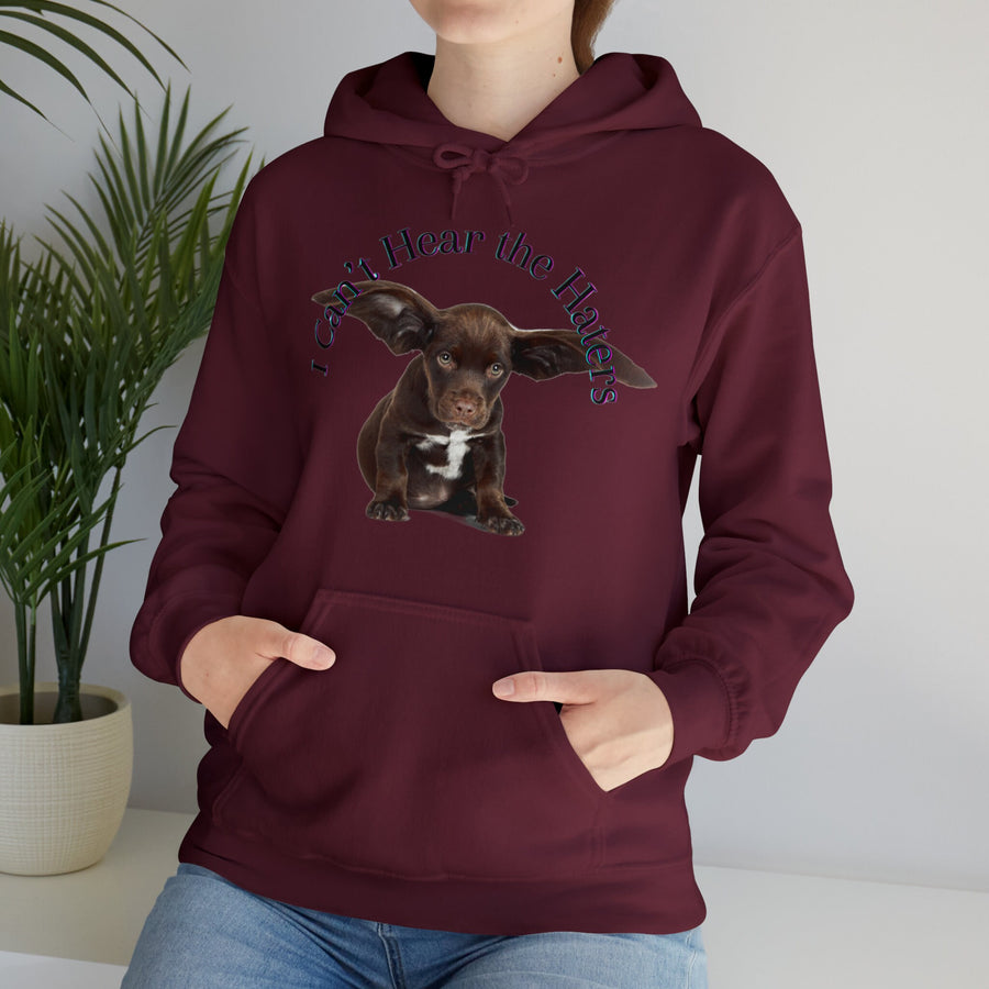 Unisex Heavy Blend™ Hooded Sweatshirt-&quot;I Can&#39;t Hear the Haters&quot;