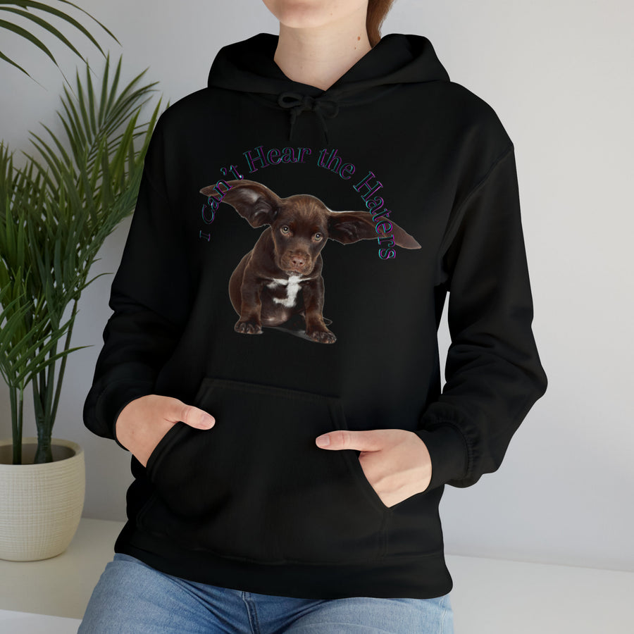 Unisex Heavy Blend™ Hooded Sweatshirt-&quot;I Can&#39;t Hear the Haters&quot;
